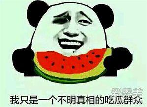 吃瓜是什么意思啊内涵,网络热词背后的社会现象与心理洞察